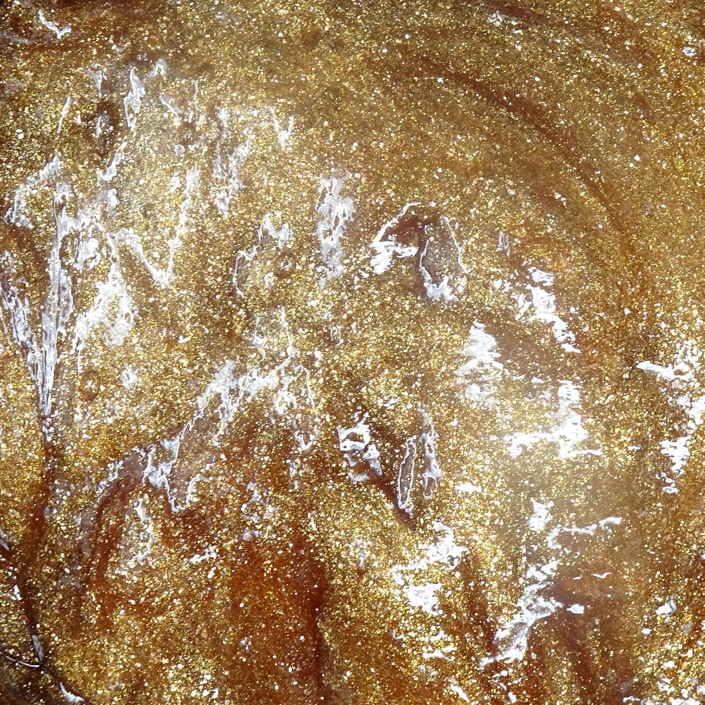 Champagne Problems - Lip Pop Luminizing Gloss | Rosehip X Vitamin E