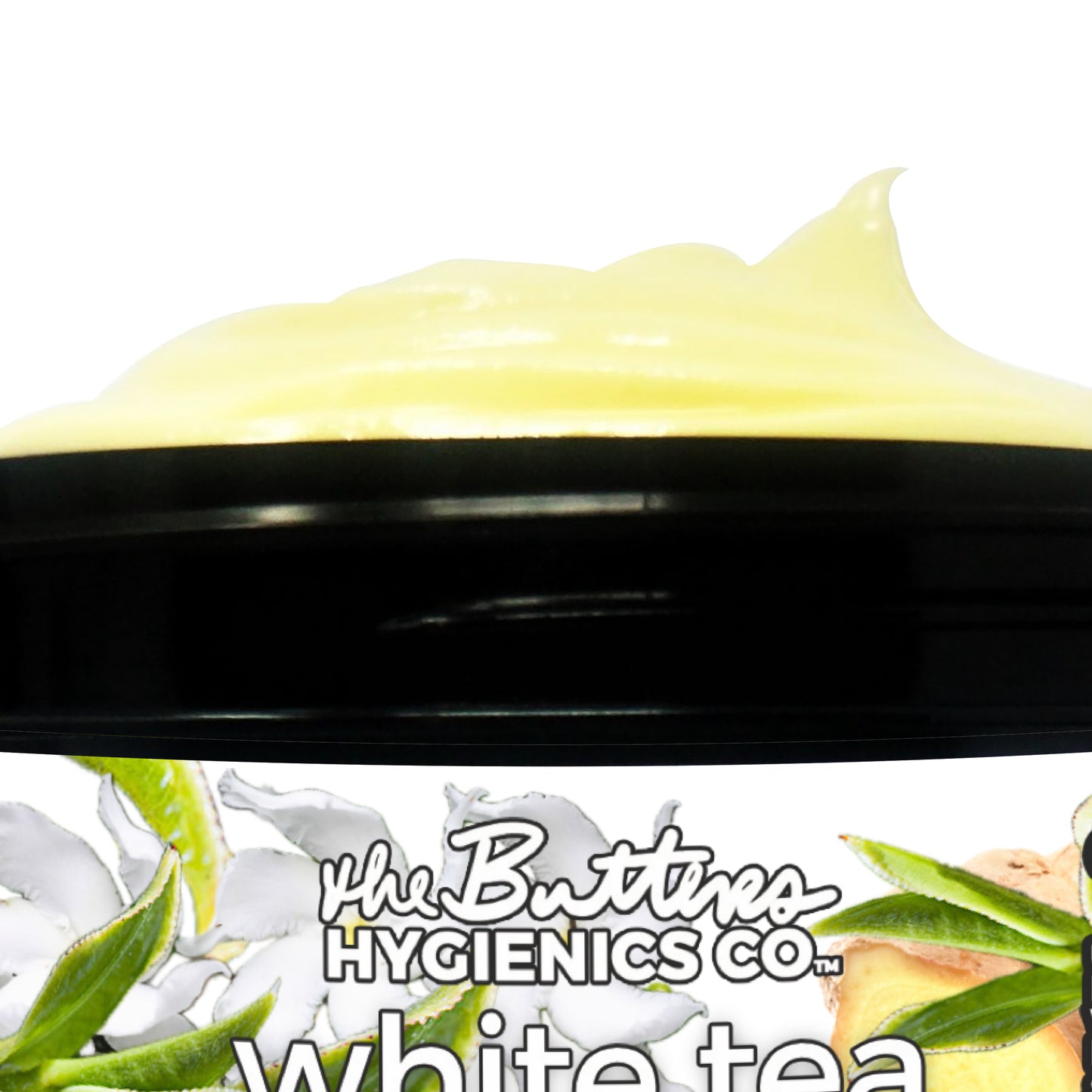 White Tea + Ginger #75 "Focus & Fortitude" - Aloe X Shea Body Moisturizer *2026 Signature Scent*