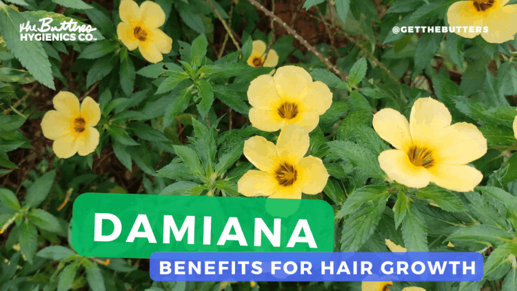 Damiana Benefits for Hair Growth