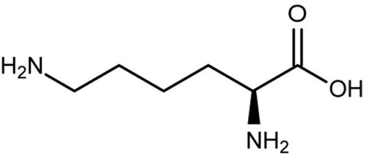 L-lysine benefits for hair, skin, and nails, nutritional information