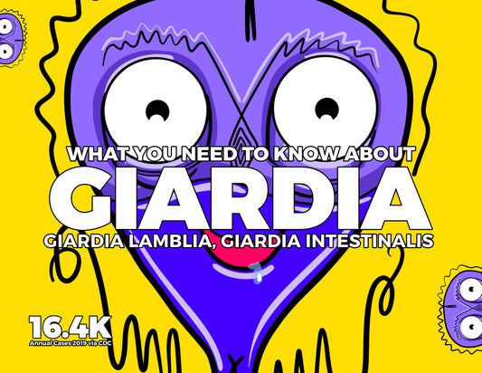 Giardia as a Sexually Transmissible Infection: What You Need to Know