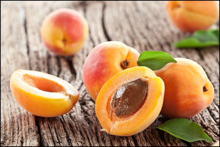 Apricot Kernel Oil Benefits for skin and hair