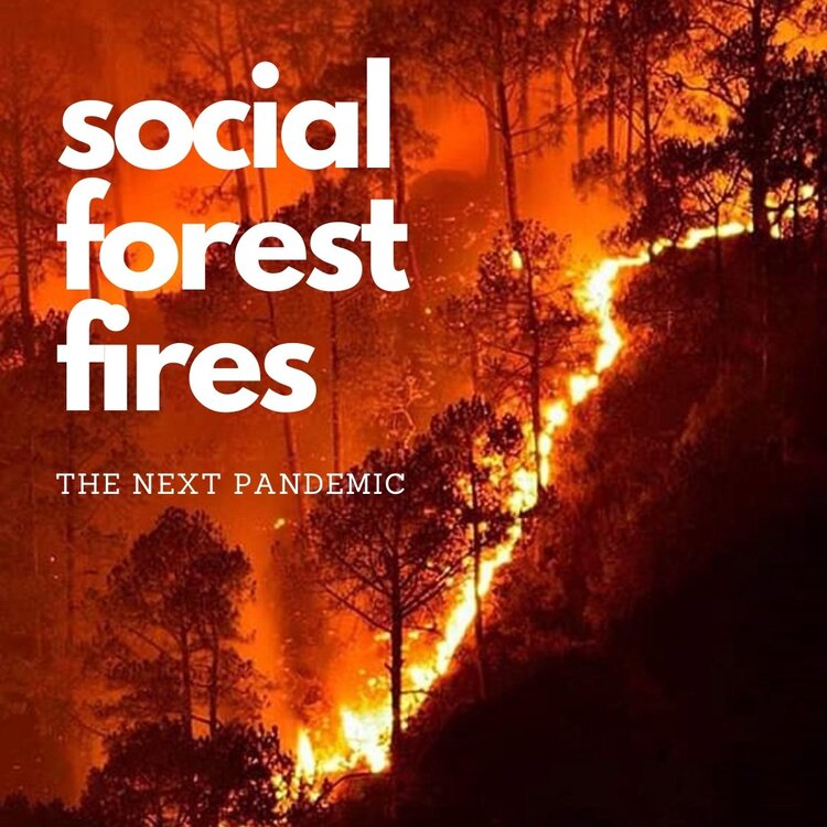 Only you can prevent social forest fires