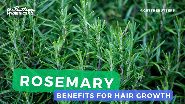 Rosemary for Hair Growth: A Natural Solution for Thicker and Healthier Hair