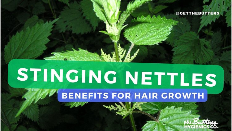 Discover the Benefits of Stinging Nettles for Hair Growth