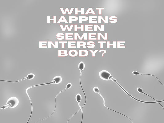 What Happens When Semen Enters Your Body? Surprising Facts, Risks, and Benefits Explored