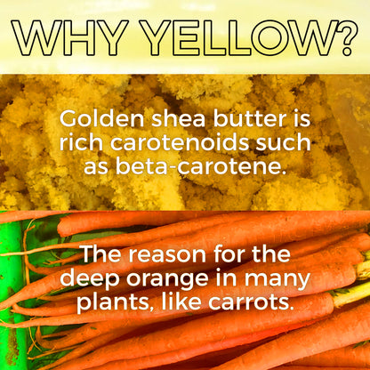 Lubrifiant : Les Butters CBD | Aloe X Shea avec 400MG d'isolat de CBD pur