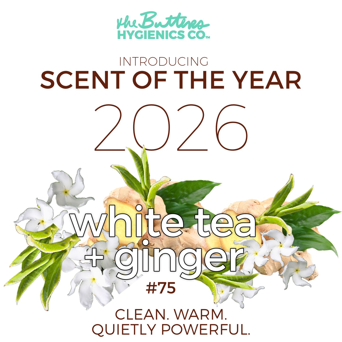 White Tea + Ginger #75 "Focus & Fortitude" - Aloe X Shea Body Moisturizer *Scent of the Year 2026*