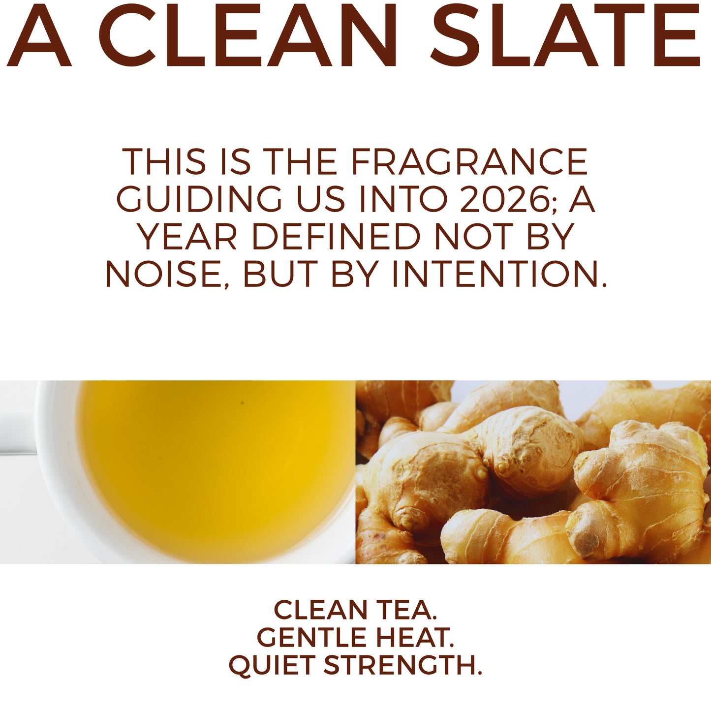 White Tea + Ginger #75 "Focus & Fortitude" - Aloe X Shea Body Moisturizer *Scent of the Year 2026*