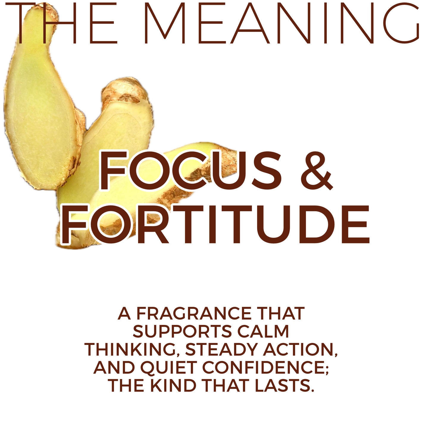 White Tea + Ginger #75 "Focus & Fortitude" - Aloe X Shea Body Moisturizer *Scent of the Year 2026*