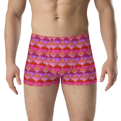 Sa Fleur {Flamingo} Boxer Briefs (Sizes XS-3X) [FREE SHIPPING]