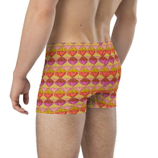 Sa Fleur {Sunset} Boxer Briefs (Sizes XS-3X) [FREE SHIPPING]