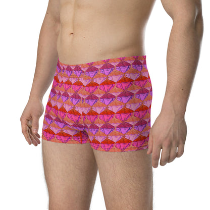 Sa Fleur {Flamingo} Boxer Briefs (Sizes XS-3X) [FREE SHIPPING]