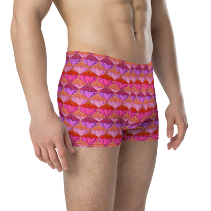 Sa Fleur {Flamingo} Boxer Briefs (Sizes XS-3X) [FREE SHIPPING]