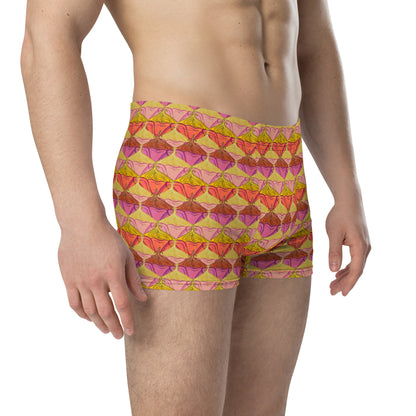 Sa Fleur {Sunset} Boxer Briefs (Sizes XS-3X) [FREE SHIPPING]